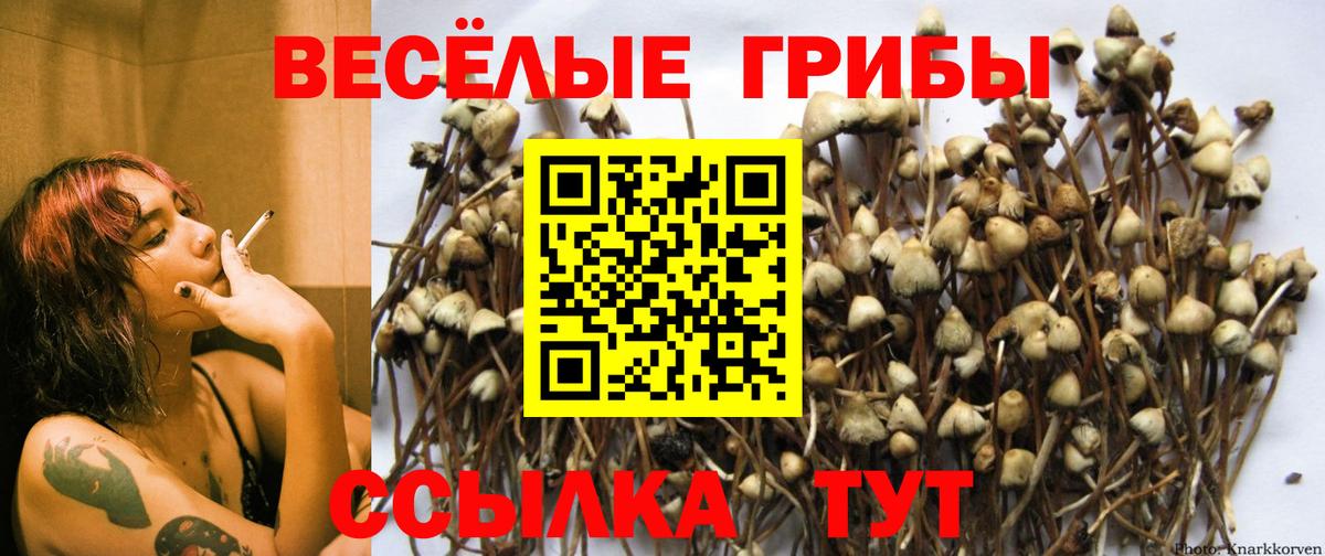 Псилоцибиновые грибы ЛСД  Вход с VPN  Вязники 
